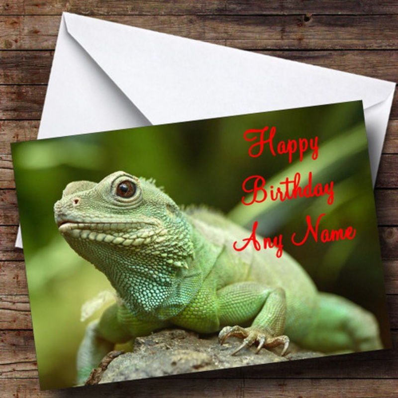 Cute Lizard Personalised Birthday Card – The Card Zoo