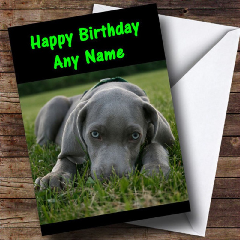 Weimaraner Dog Personalised Birthday Card – The Card Zoo