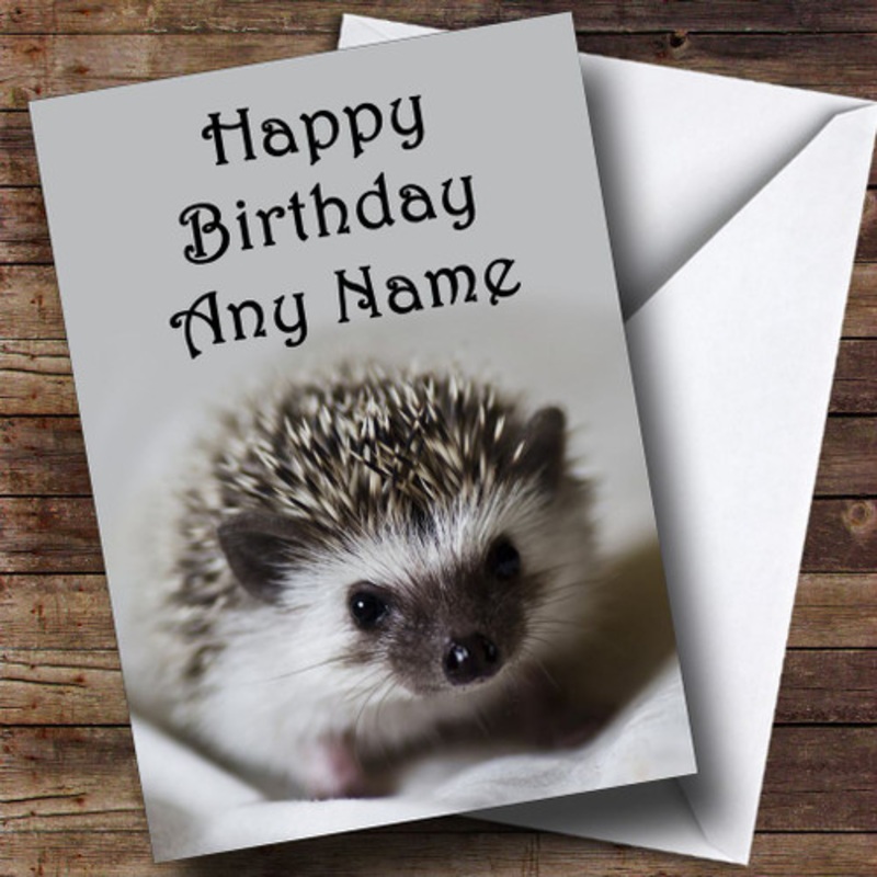 Lovely Baby Hedgehog Personalised Birthday Card – The Card Zoo
