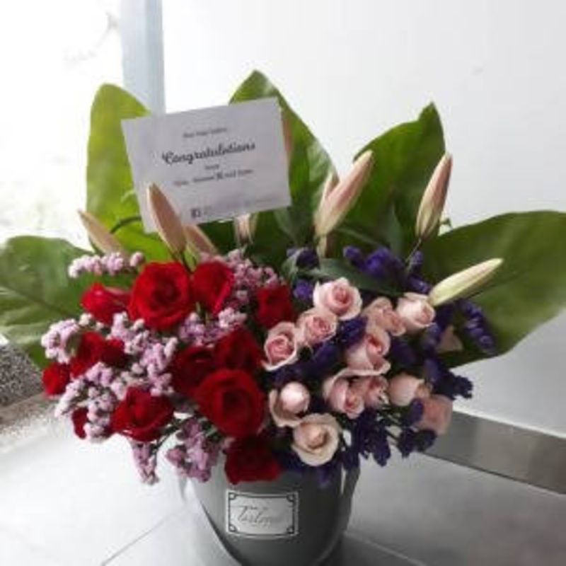 Tailored Grand Tyra (Klang Valley Delivery)