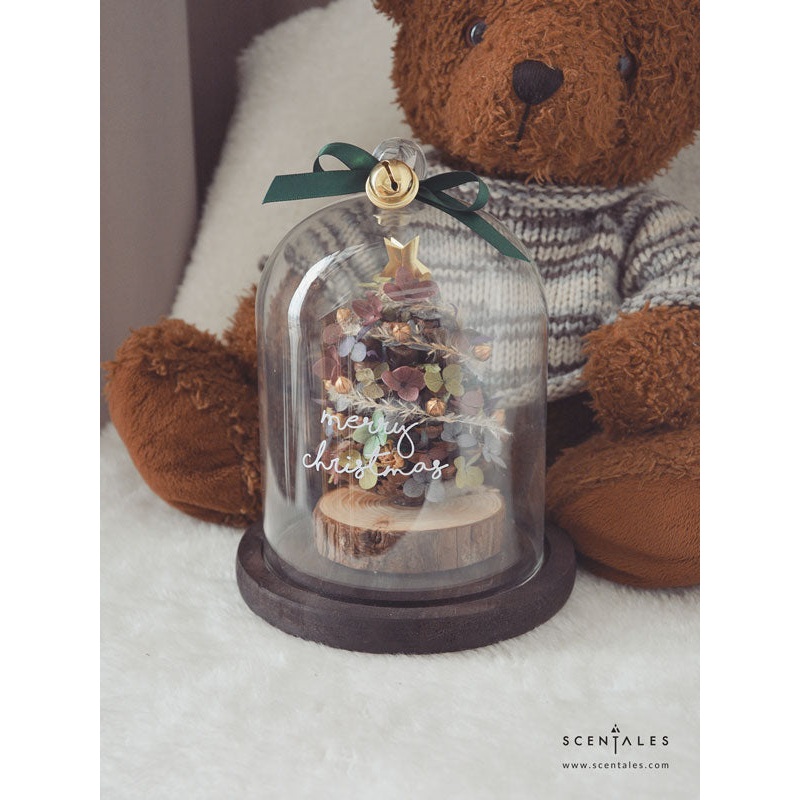 Christmas 2024 Scentales Jolly Tree Preserved Flower Bell Jar | (Klang Valley Delivery)