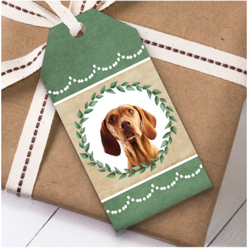 Hungarian Vizsla Pointer Dog Green Birthday Present Favor Gift Tags – The Card Zoo