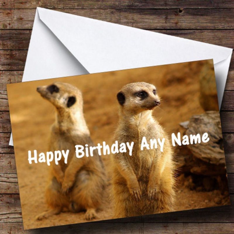 Two Meerkats Personalised Birthday Card – The Card Zoo