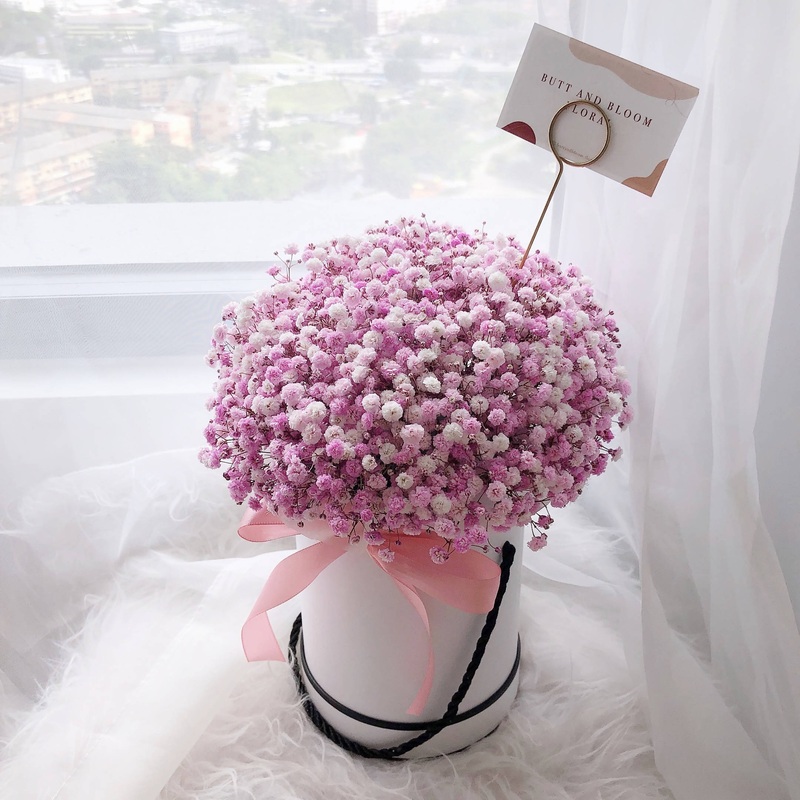 Baby Breath Box (Pink)|Zone A|Zone B|Zone C|Zone D|Zone E|Zone F|Zone G|Zone H|Zone I