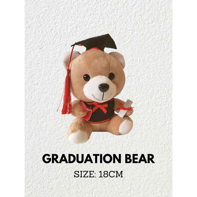 Add-On Graduation Bear 18cm 1001