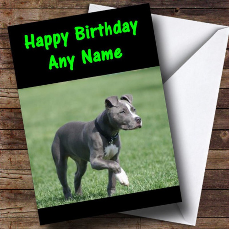 Pit Bull Dog Personalised Birthday Card – The Card Zoo