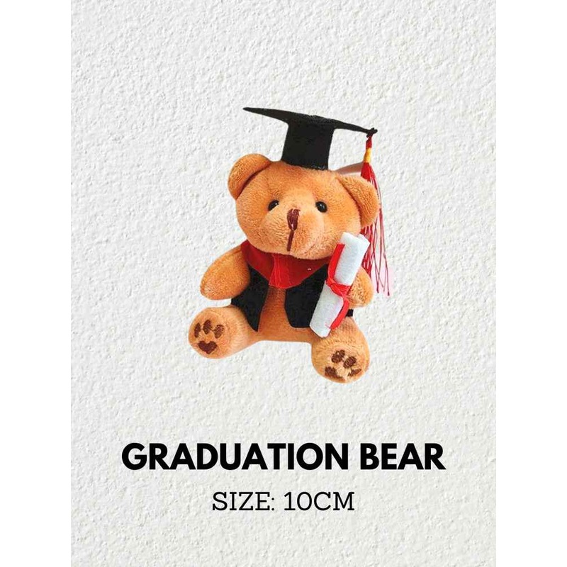 Add-On Graduation Bear 10cm 1001