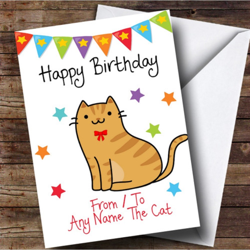 To From Pet Cat Ginger Tabby Personalised Birthday Card – The Card Zoo
