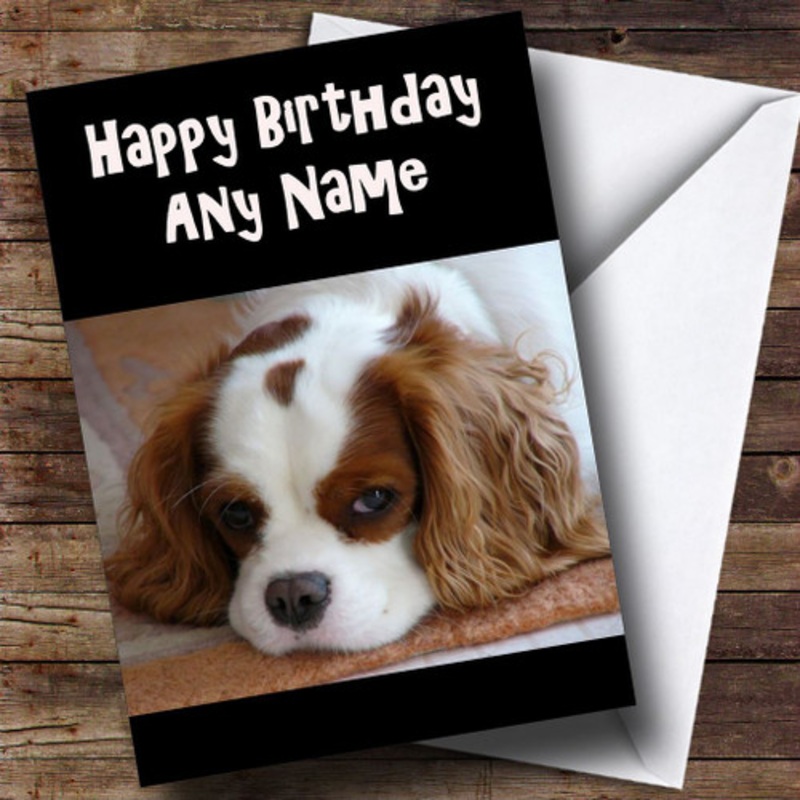 Lovely King Charles Spaniel Dog Personalised Birthday Card – The Card Zoo