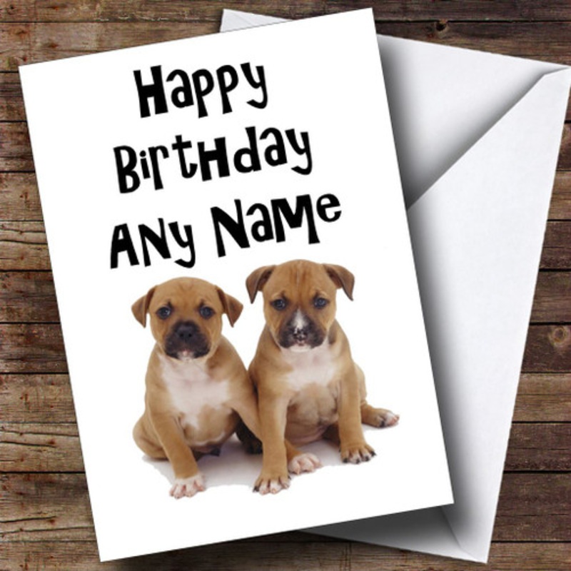 Two Staffordshire Bull Terrier Puppy Dogs Personalised Birthday Card – The Card Zoo