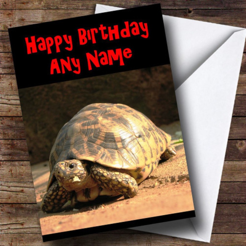 Tortoise Personalised Birthday Card – The Card Zoo