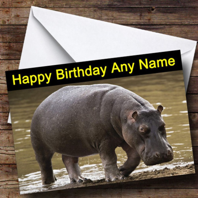 Hippo Personalised Birthday Card – The Card Zoo