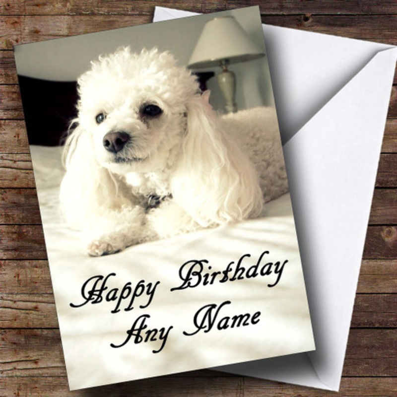 White Poodle Personalised Birthday Card – The Card Zoo