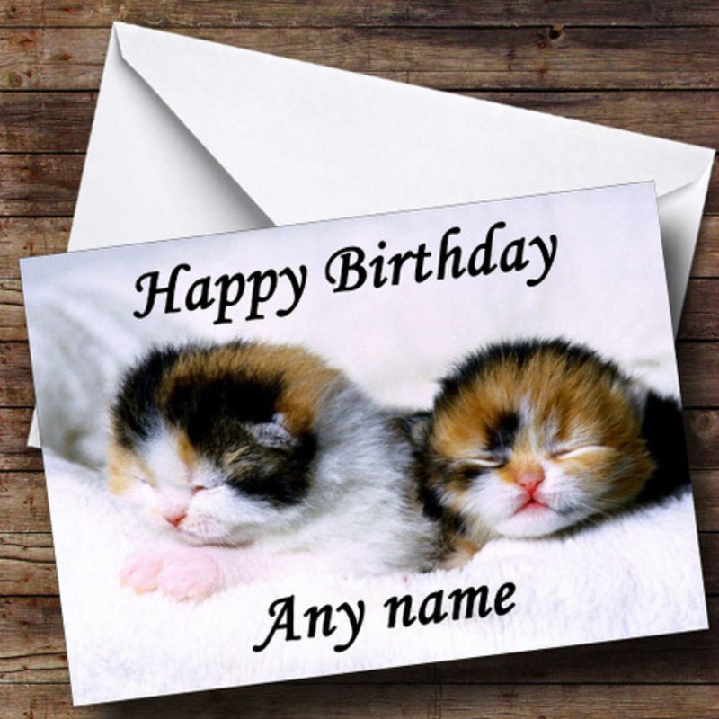 Adorable Sleeping Kittens Personalised Birthday Card – The Card Zoo