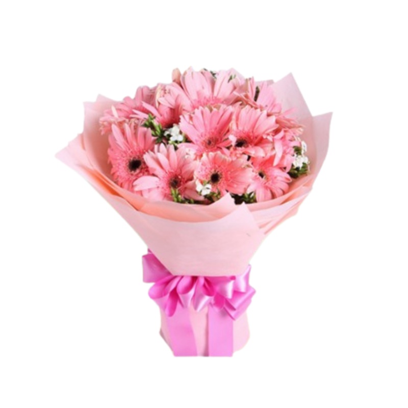 [Fresh Flower] Daisy Pink Wrapper Bouquet (Klang Valley Delivery Only)