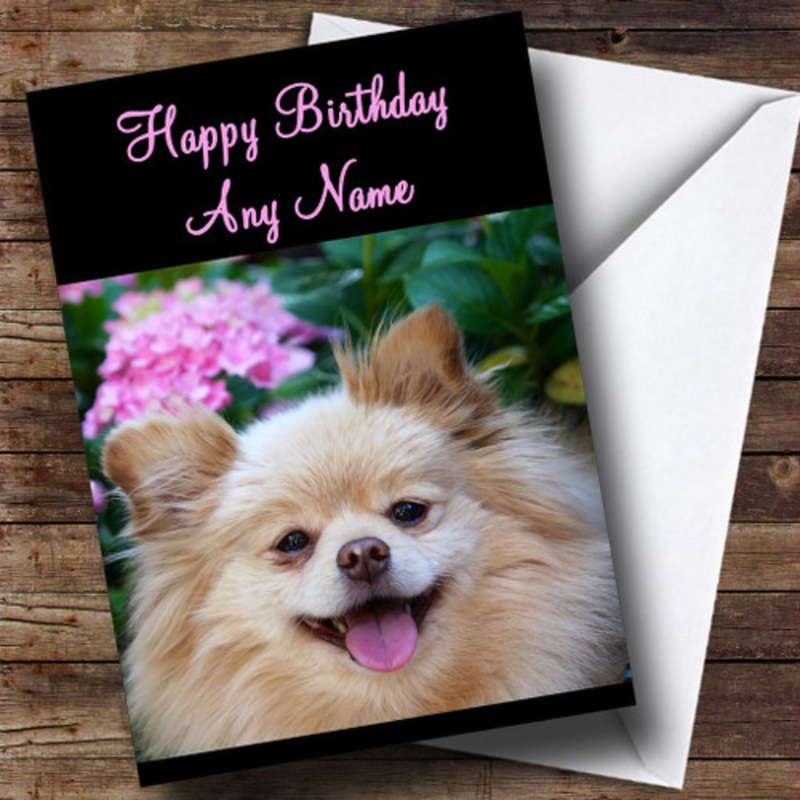 Pomeranian Dog Personalised Birthday Card – The Card Zoo