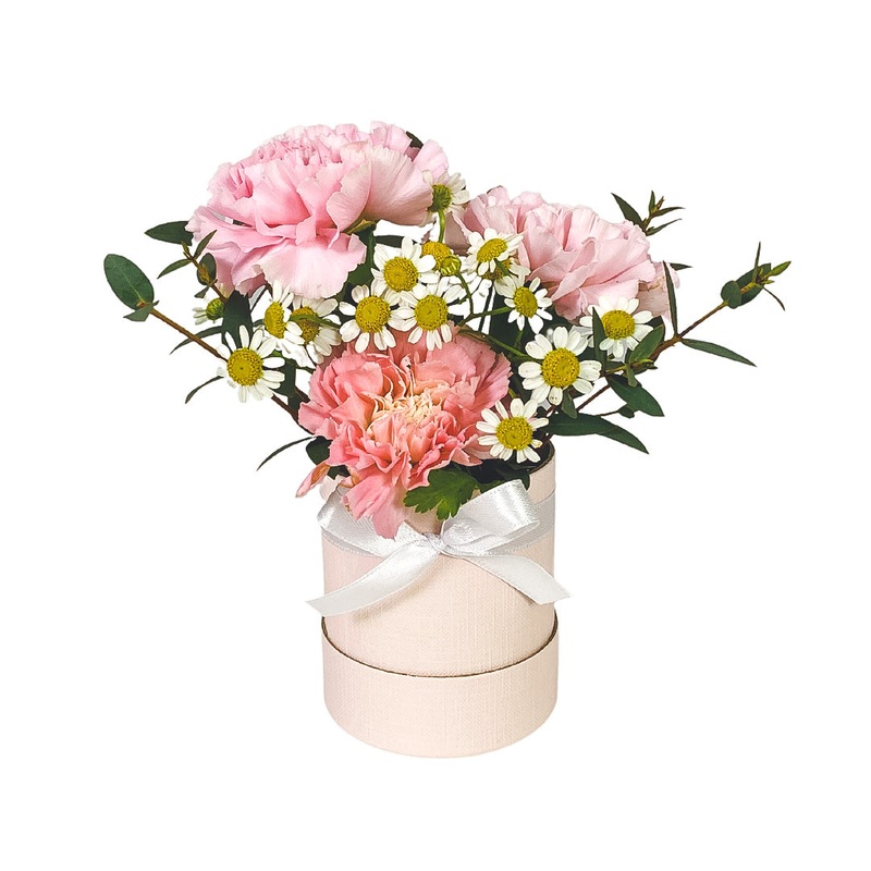 Mini Ava Daisy Bloom Box (Klang Valley Delivery Only)