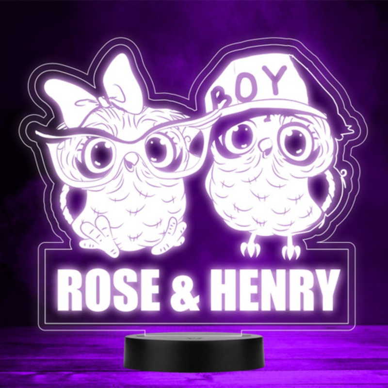 Cute Girl and Boy Owls Kids Twins Siblings LED Personalised Gift Night Light – The Card Zoo