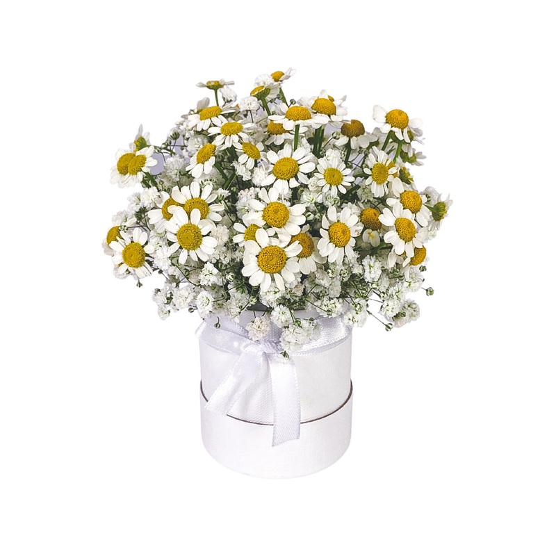Mini Daisy Bloom Box (Klang Valley Delivery Only)