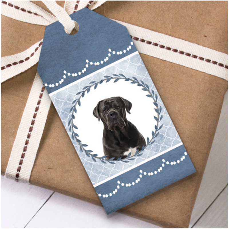 Cane Corso Dog Blue Birthday Present Favor Gift Tags – The Card Zoo