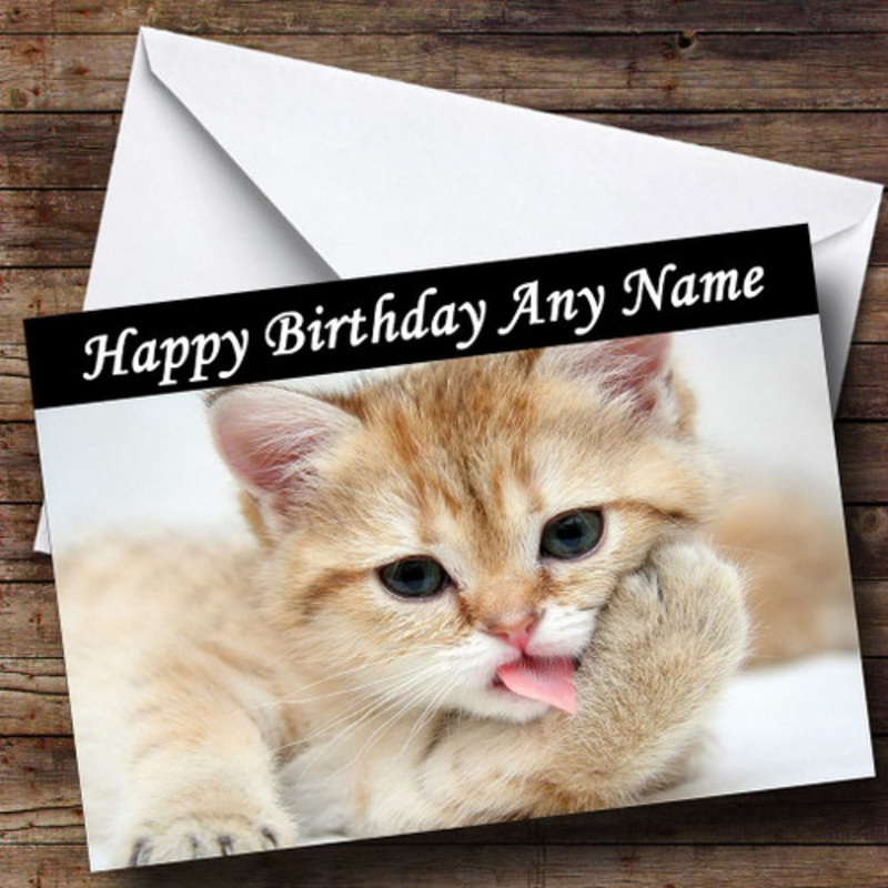 Cute Kitten Licking Paw Personalised Birthday Card – The Card Zoo