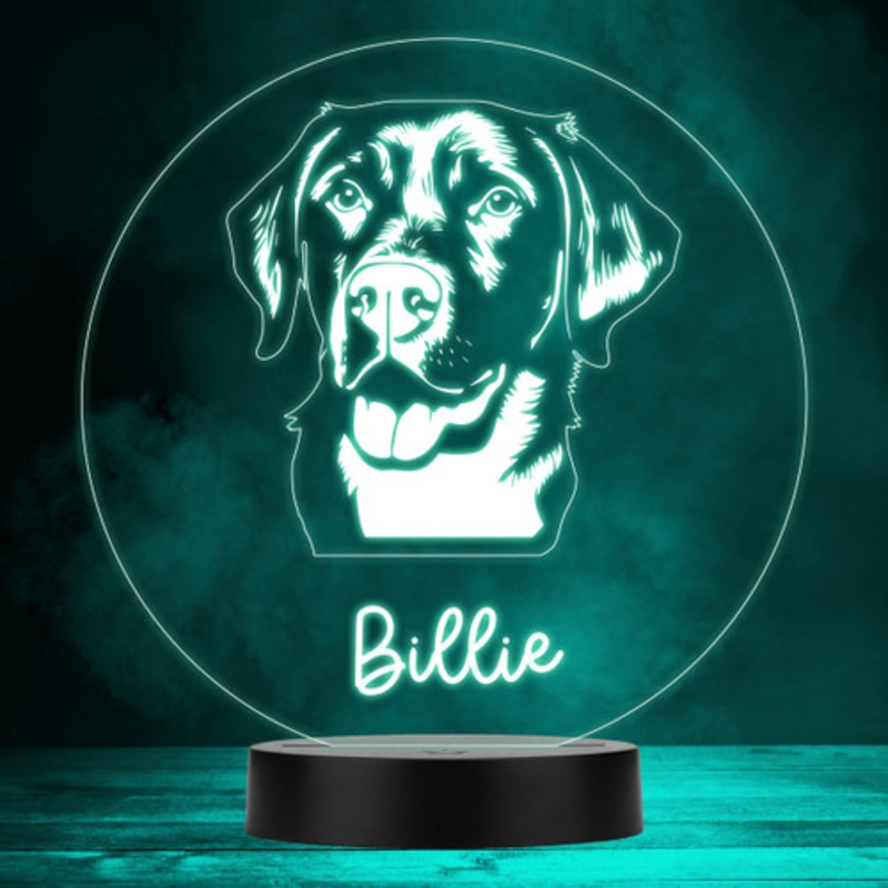 Labrador Retriever Dog Pet Multicolour Personalised Gift LED Lamp Night Light – The Card Zoo