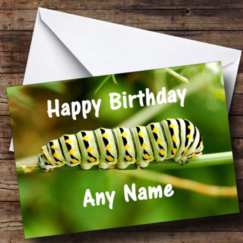 Caterpillar Personalised Birthday Card – The Card Zoo