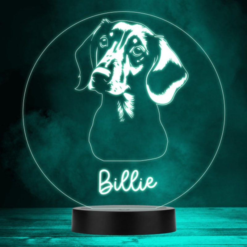 Dachshund Dog Pet Silhouette Multicolour Personalised Gift LED Lamp Night Light – The Card Zoo