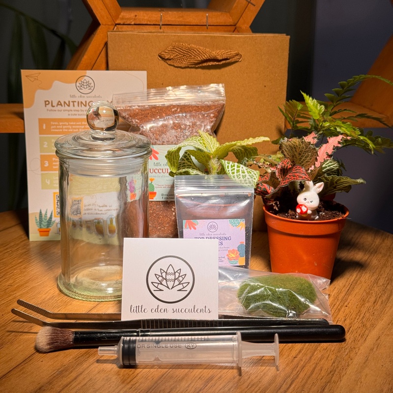 Terrarium Jar Indoor plants Terrarium DIY Set (M)