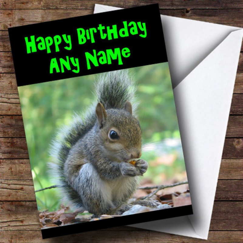 Grey Squirrel Personalised Birthday Card – The Card Zoo