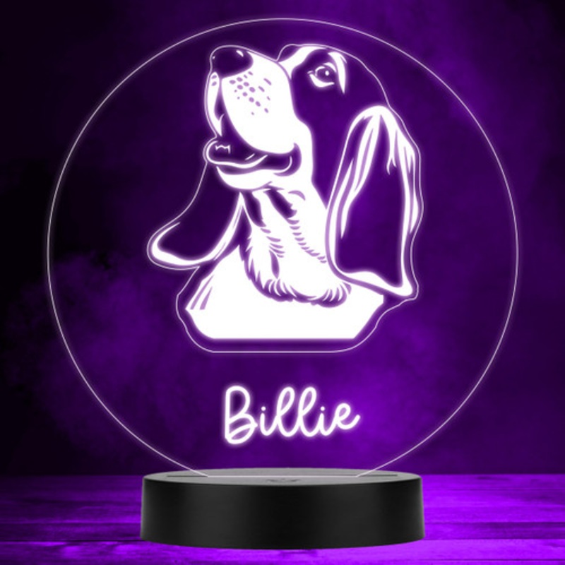 Basset Hound Dog Pet Multicolour Personalised Gift LED Lamp Night Light – The Card Zoo