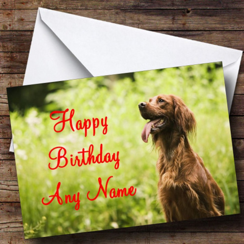 Setter Dog Personalised Birthday Card – The Card Zoo