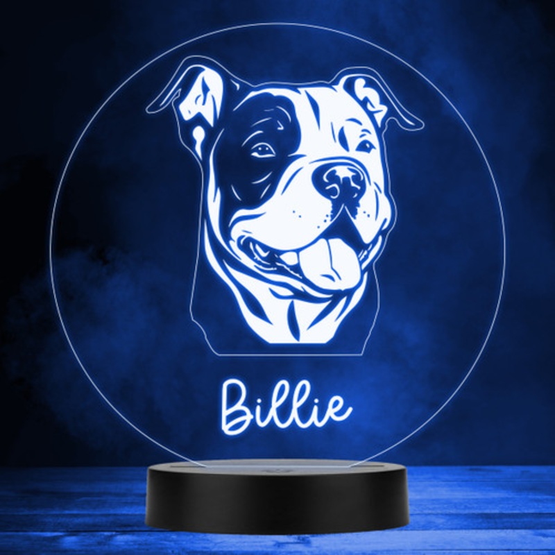 American Bully Dog Pet Multicolour Personalised Gift LED Lamp Night Light – The Card Zoo