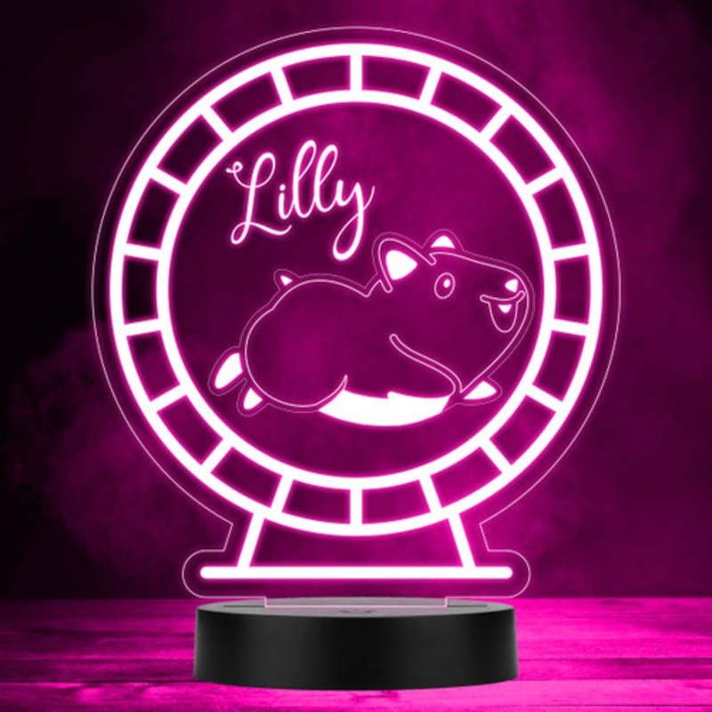 Cute Hamster Running Wheel Multicolour Personalised Gift LED Lamp Night Light – The Card Zoo