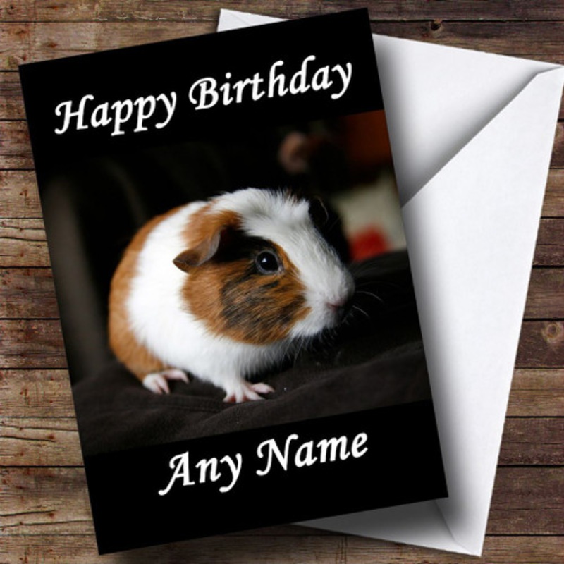 Guinea Pig Personalised Birthday Card – The Card Zoo