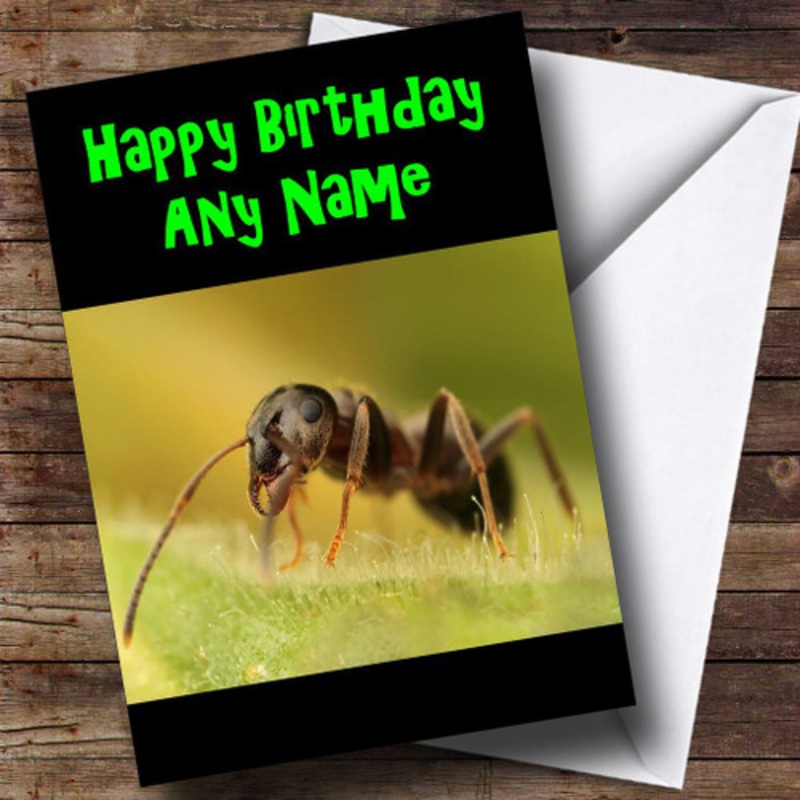 Ant Personalised Birthday Card – The Card Zoo