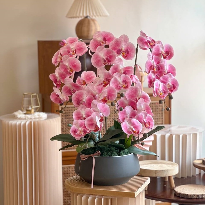 Cassandra Artificial Orchid Vase  (Klang Valley Delivery Only)