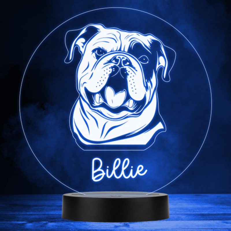 English Bulldog Dog Pet Multicolour Personalised Gift LED Lamp Night Light – The Card Zoo