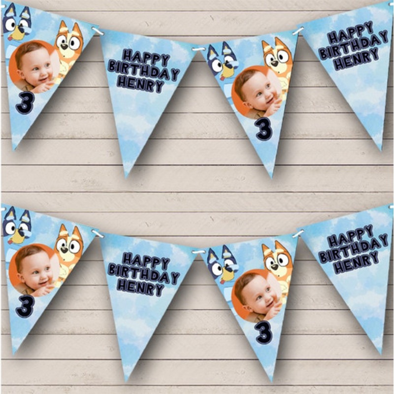 Bluey Cartoon Theme Party Birthday Photo Age Personalised Party Banner Bunting – The Card Zoo