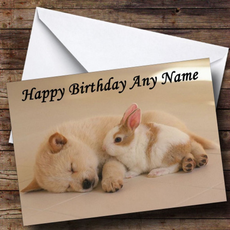 Dog and Rabbit Sleeping Personalised Birthday Card – The Card Zoo