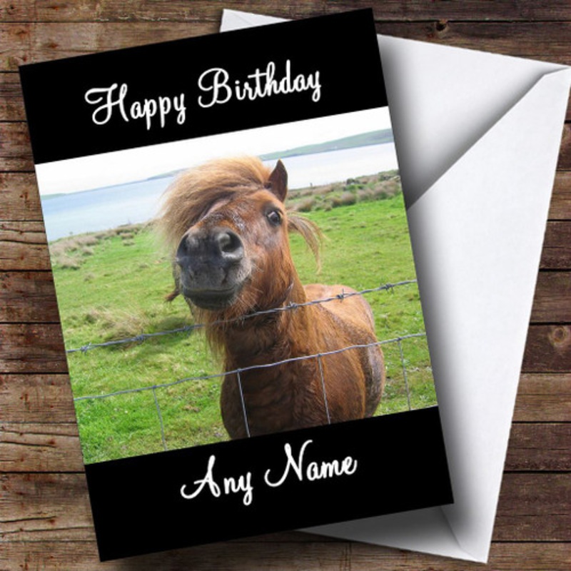 Shetland Pony Personalised Birthday Card – The Card Zoo