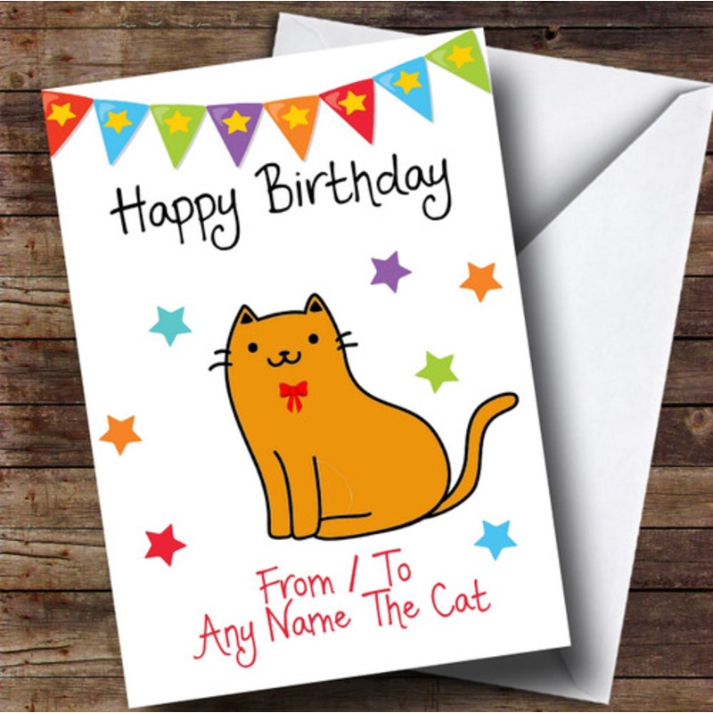 To From Pet Cat Ginger Personalised Birthday Card – The Card Zoo