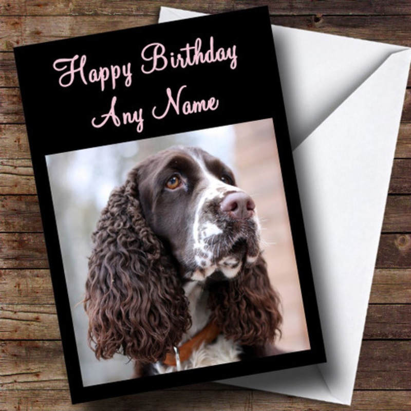 English Spaniel Dog Personalised Birthday Card – The Card Zoo
