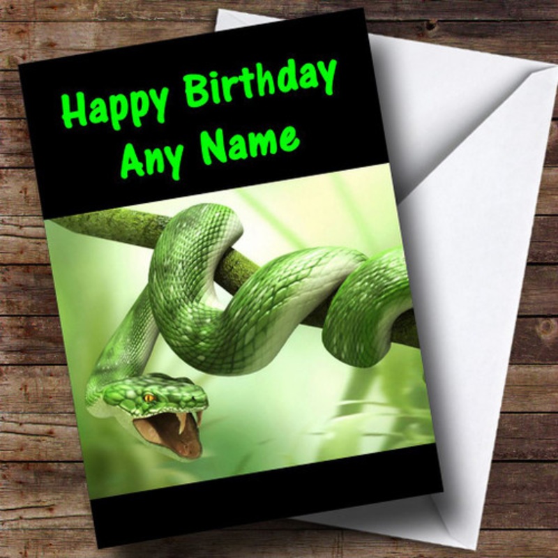 Green Snake Personalised Birthday Card – The Card Zoo