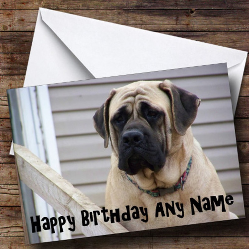 Mastiff Dog Personalised Birthday Card – The Card Zoo