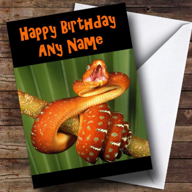 Orange Snake Personalised Birthday Card – The Card Zoo