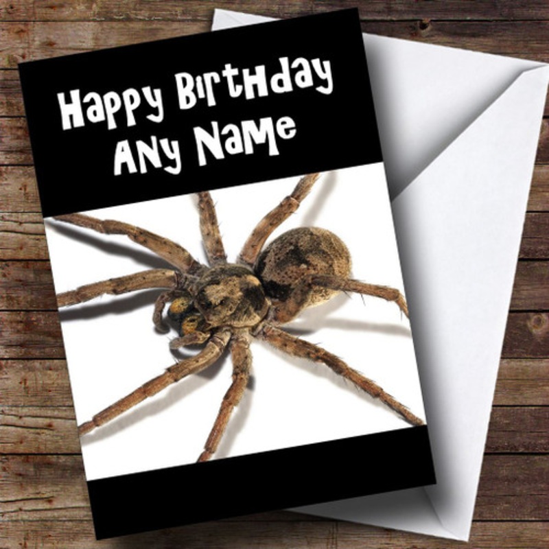 Spider Personalised Birthday Card – The Card Zoo