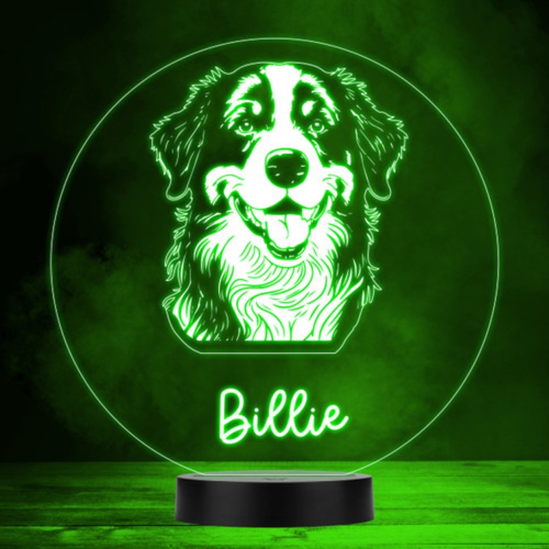 Bernese Mountain Dog Pet Multicolour Personalised Gift LED Lamp Night Light – The Card Zoo