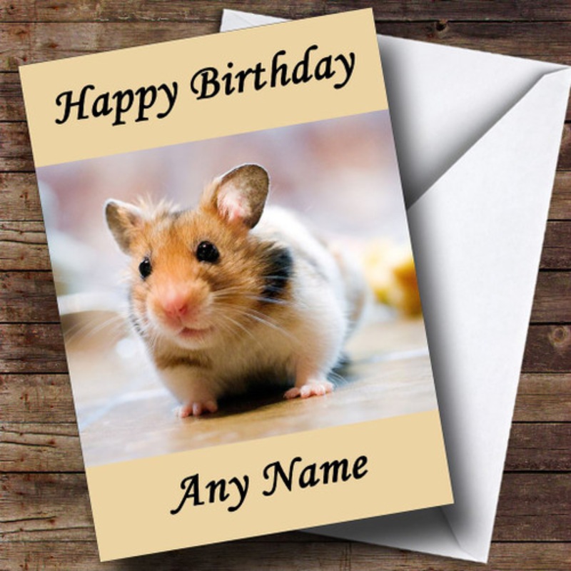 Cute Little Hamster Personalised Birthday Card – The Card Zoo