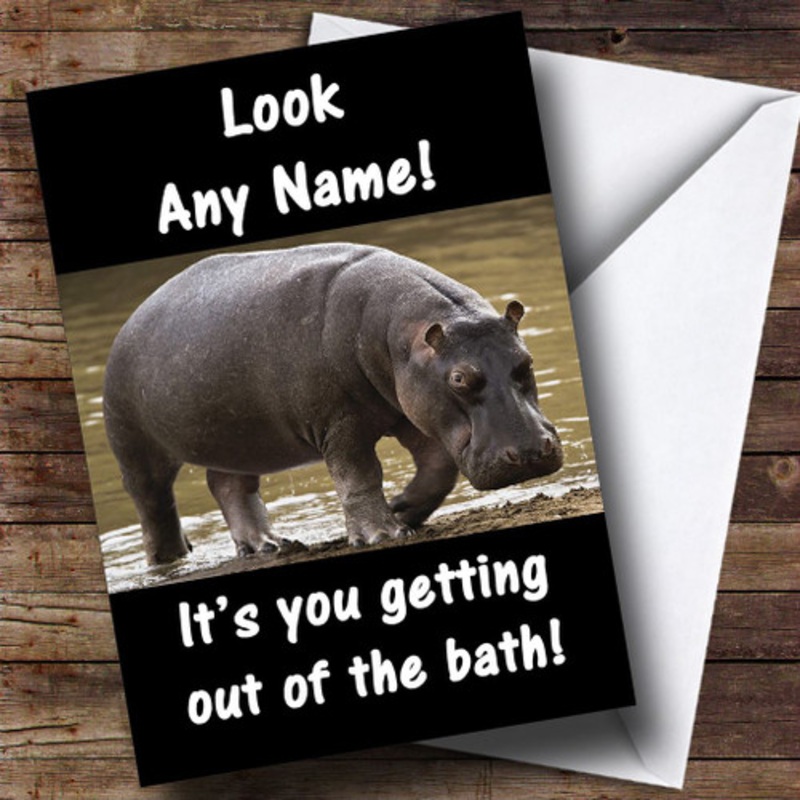 Hippo Fat Joke Insulting and Offensive Funny Personalised Birthday Card – The Card Zoo